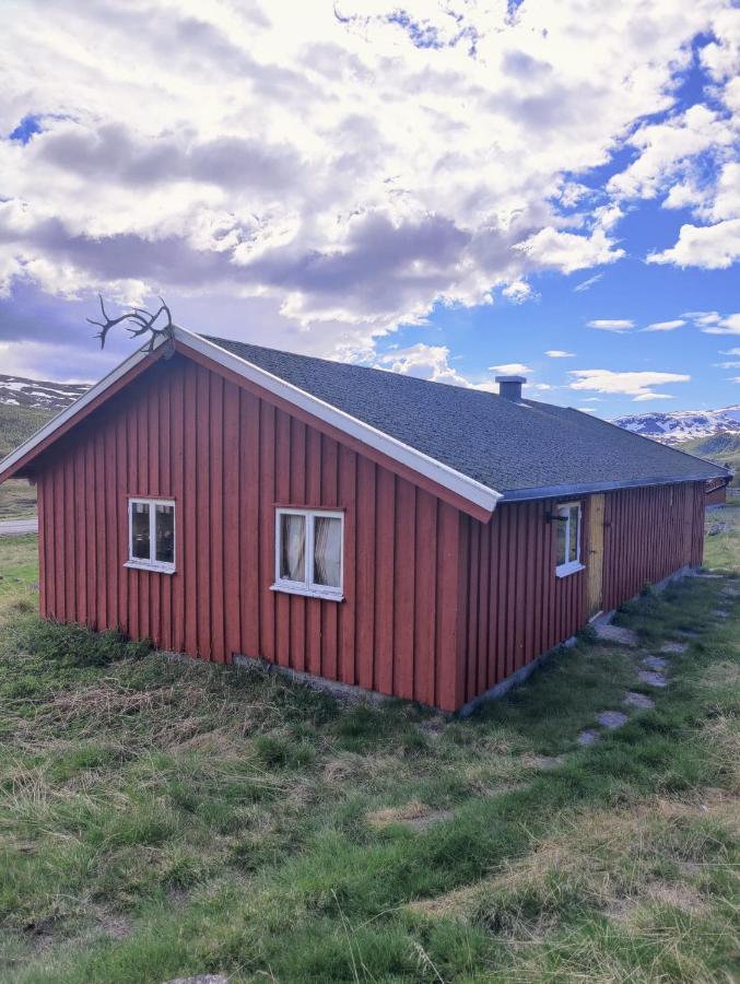 Kyrkjestolen B&B Tyinkrysset Kültér fotó